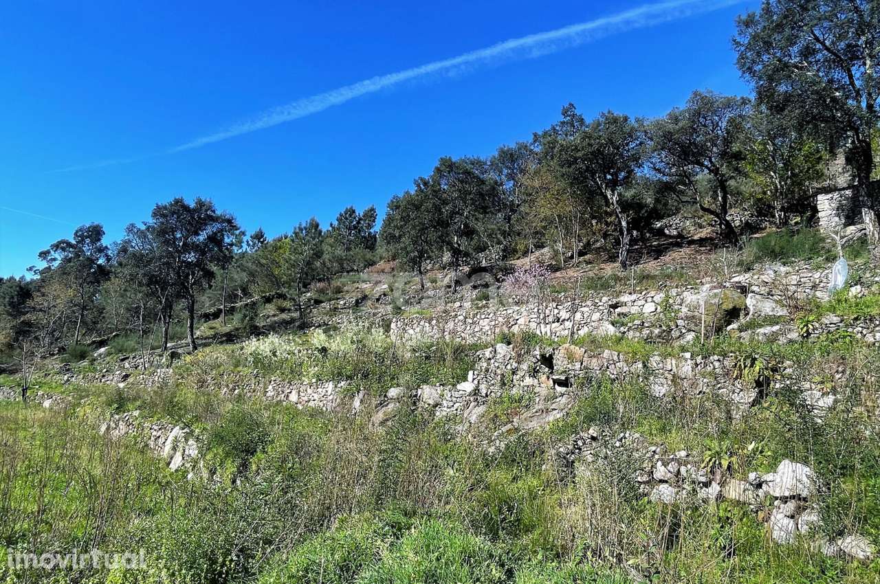 Terreno rústico em S. Jorge Arcos de Valdevez - Grande imagem: 4/13