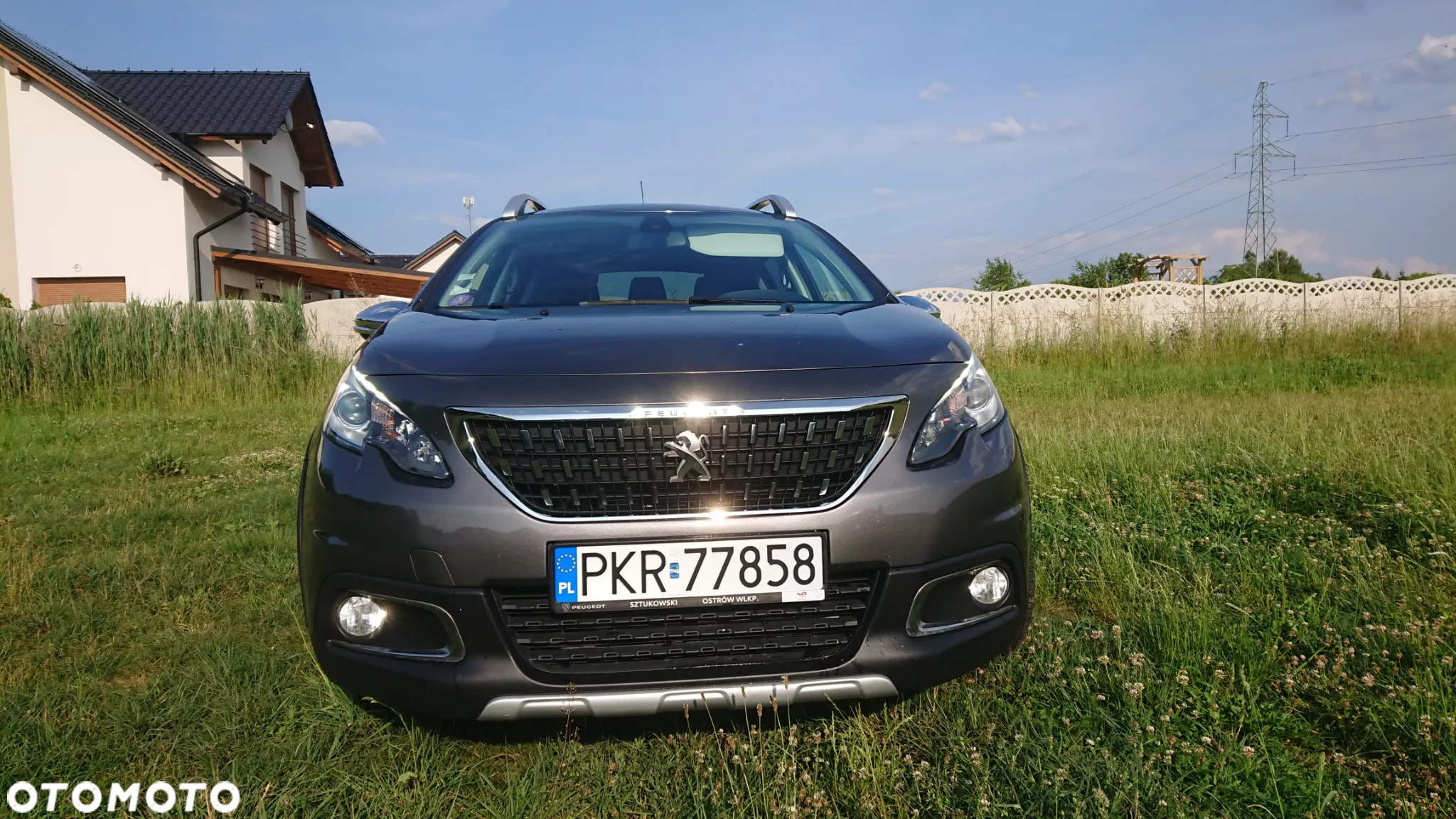 Peugeot 2008 - 19