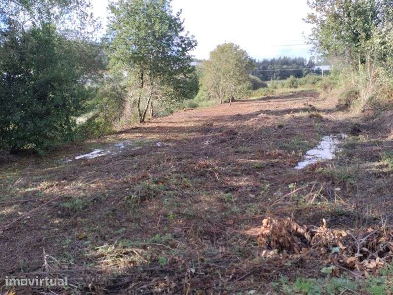 Terreno Rústico com 2.000 m² – São Martinho de Ossela - Grande imagem: 2/2