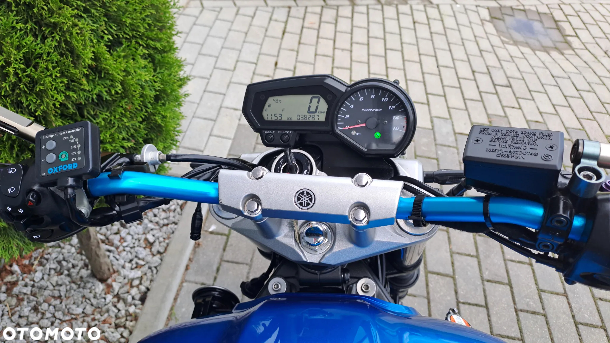Yamaha FZ6 - 8