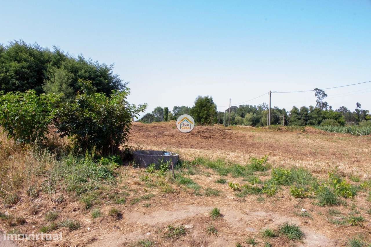 Terreno para Promoção Habitacional – Ovar - Grande imagem: 4/18