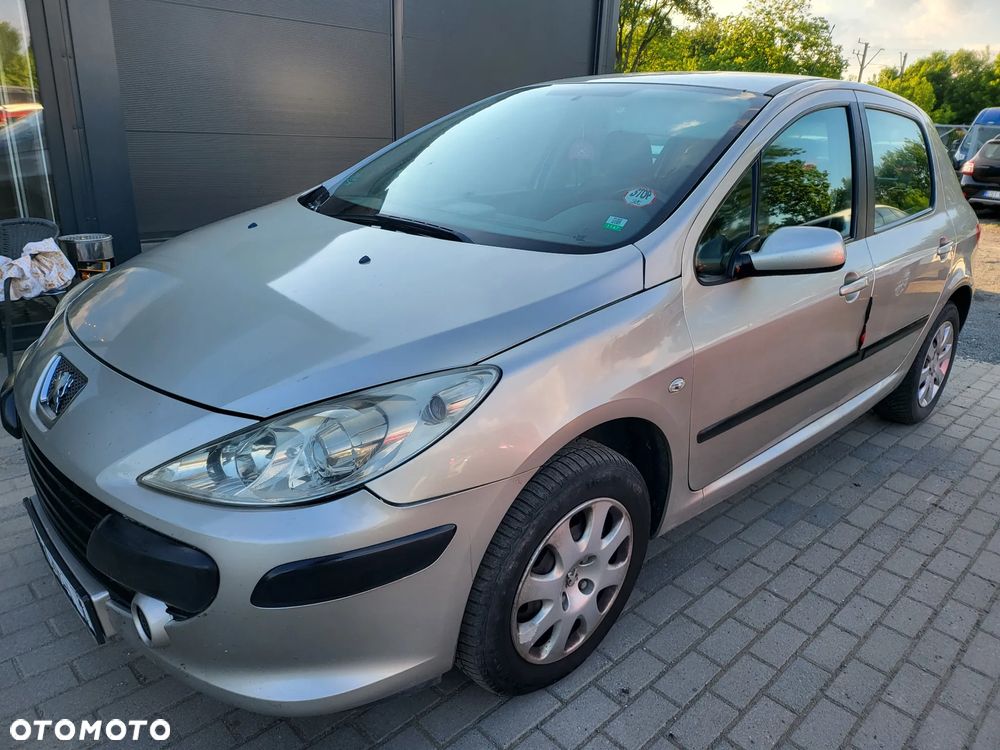 Peugeot 307 1.6 HDi - 12