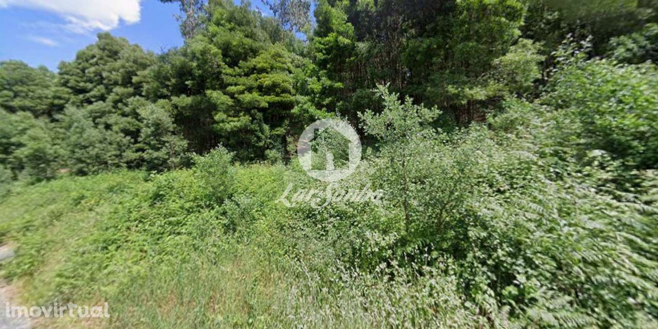 Terreno com 12.000m2 em Santo Tirso - Grande imagem: 3/6