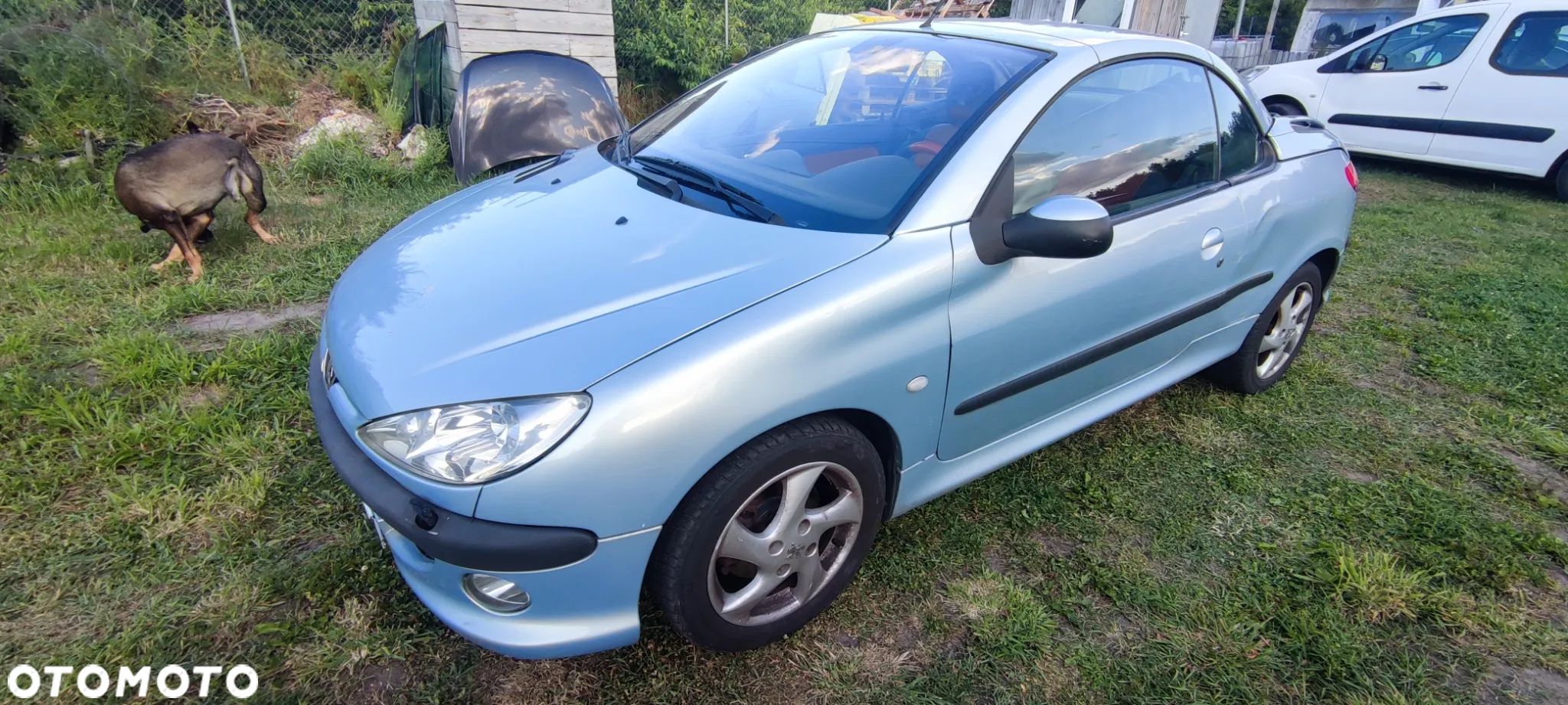 Peugeot 206 CC 110 Automatik Platinum - 1