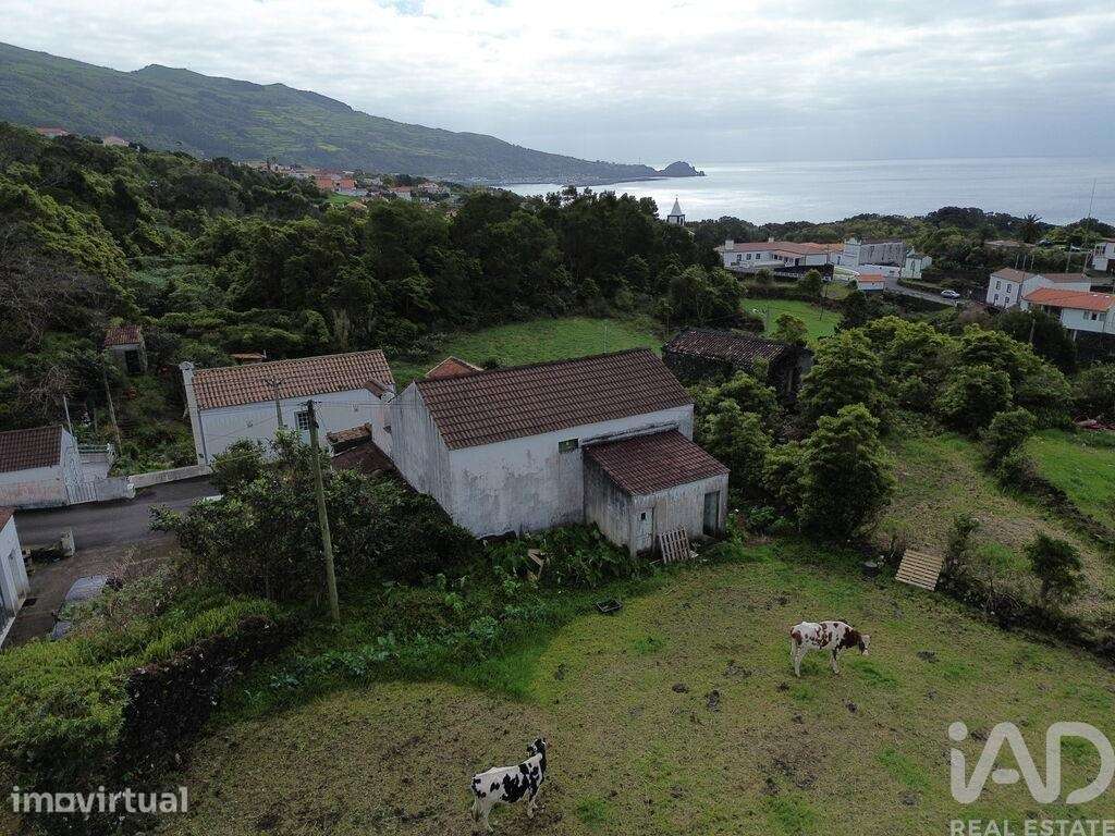 Casa de Campo em Lajes do Pico de 58 m2 - Grande imagem: 3/11