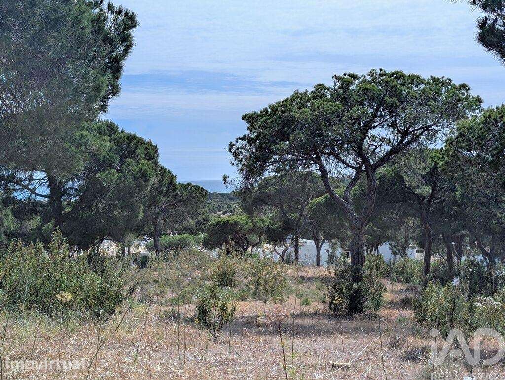 Terreno para construção em Almancil de 890,00 m2 - Grande imagem: 3/13