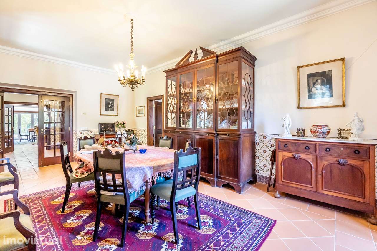 Quinta Histórica em Santarém com 539.460 m² - Grande imagem: 2/27