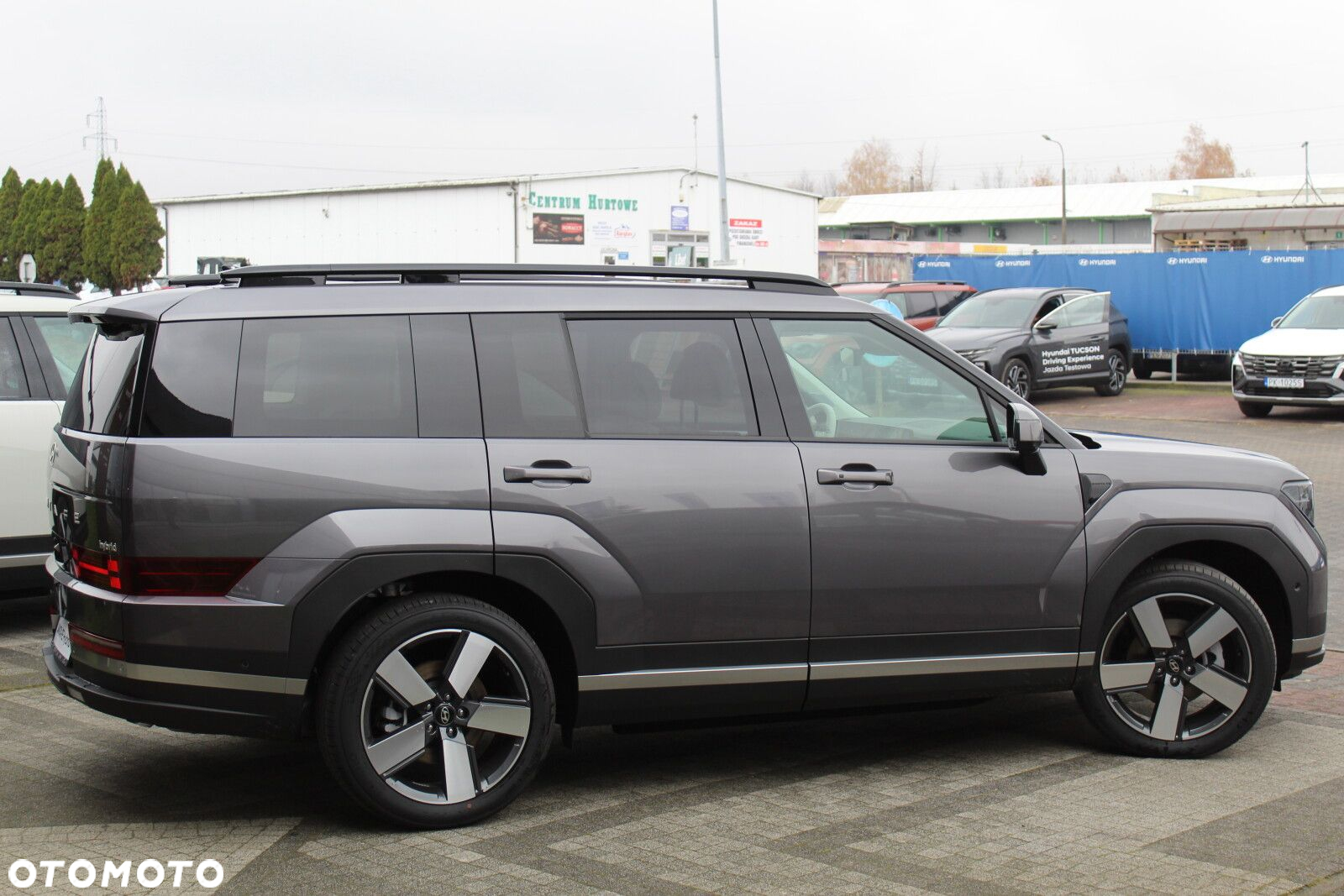 Hyundai Santa Fe 1.6 T-GDI HEV Platinum 4WD - 4