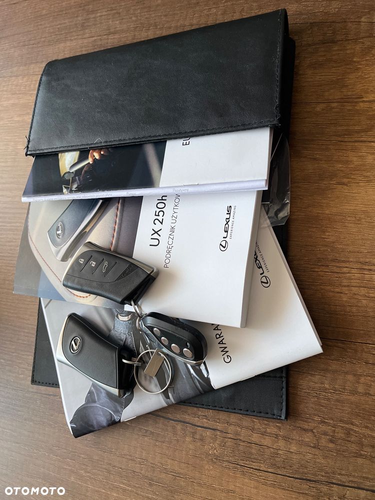 Lexus UX 250h GPF F Sport Design 2WD - 12