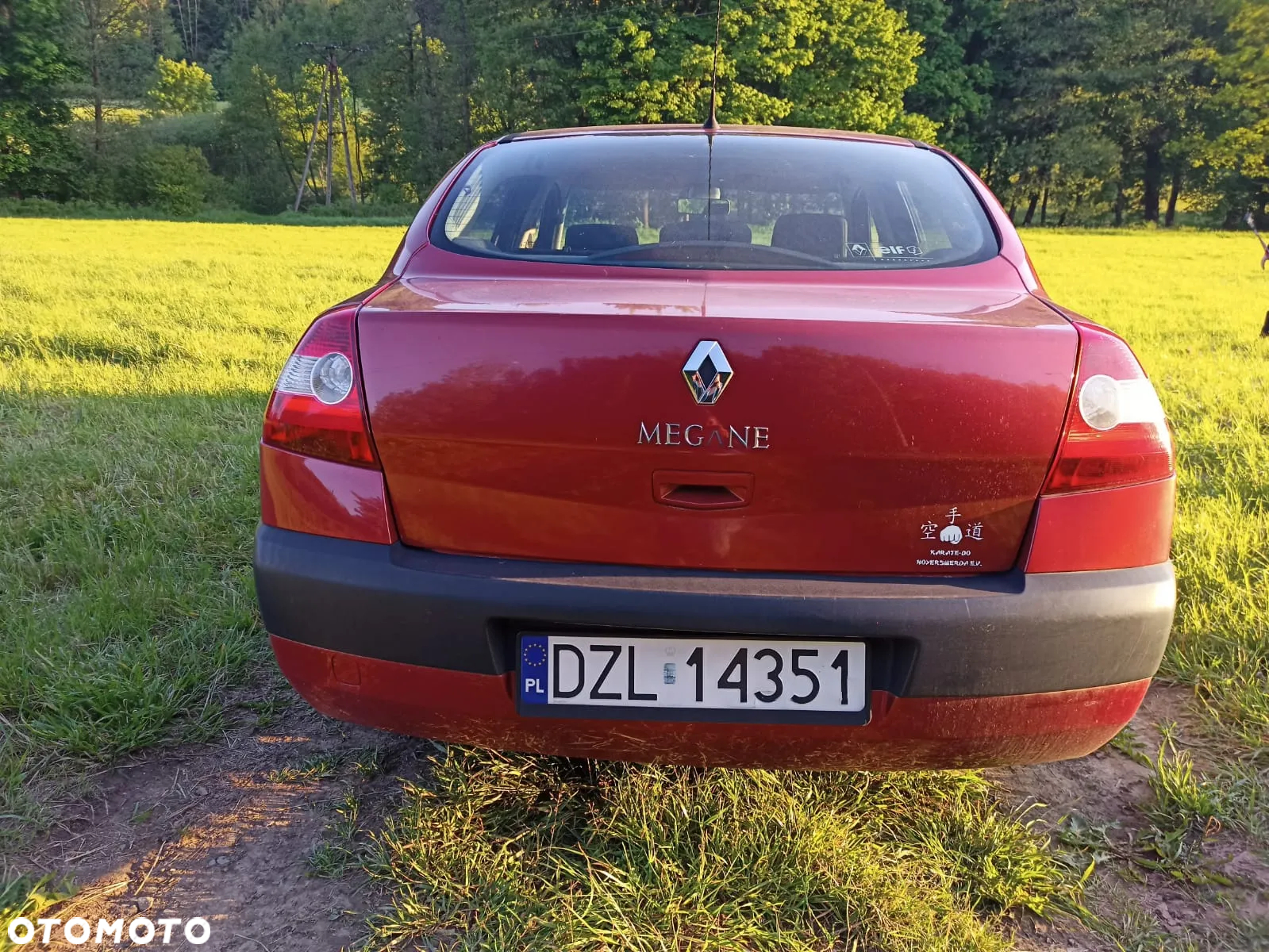 Renault Megane - 17