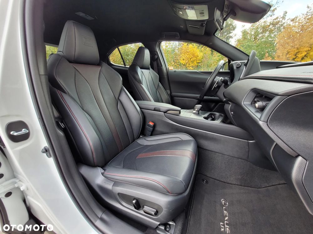 Lexus UX 300h F Sport - 15