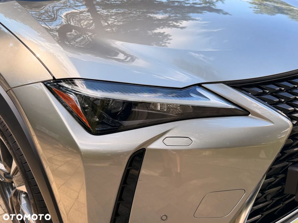 Lexus UX 250h GPF Business 2WD - 16