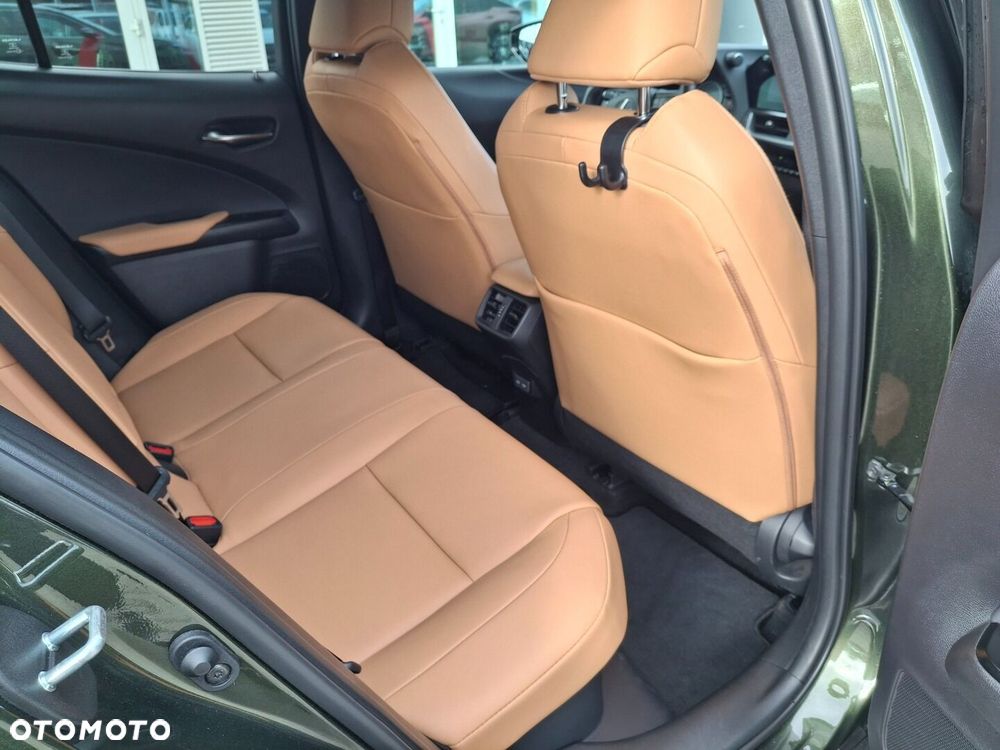 Lexus UX 250h GPF F Sport Design 2WD - 16