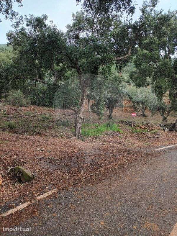 Terreno  para venda - Grande imagem: 2/7