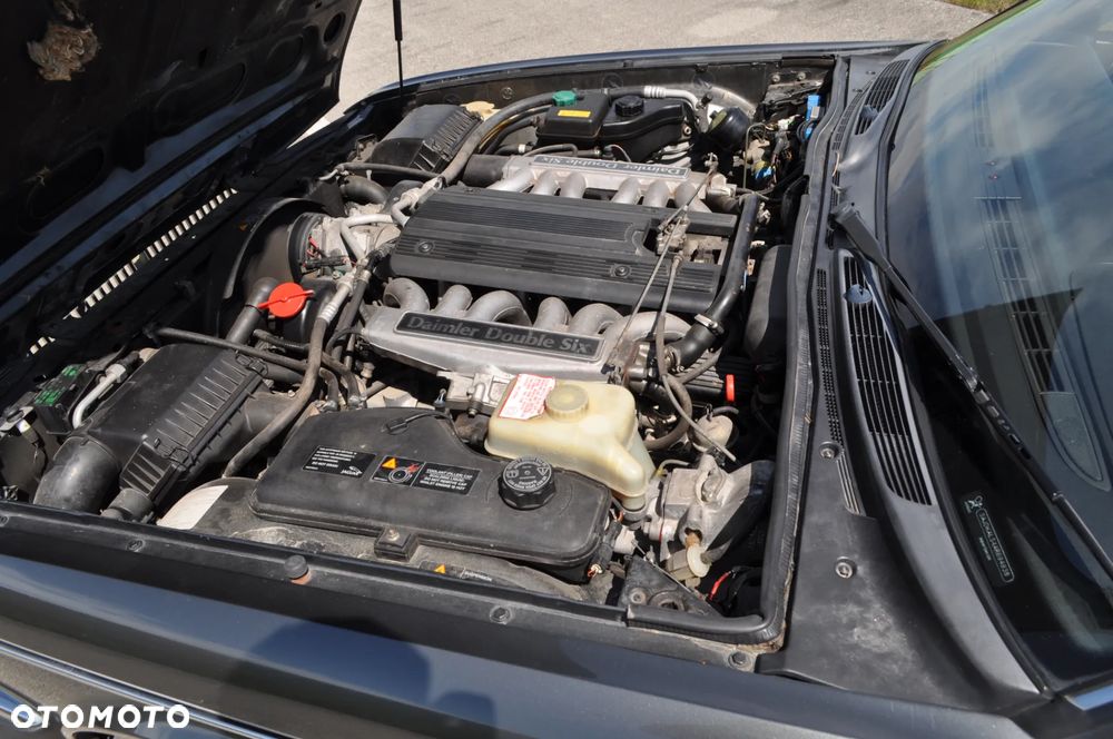 Jaguar Daimler Double Six - 18