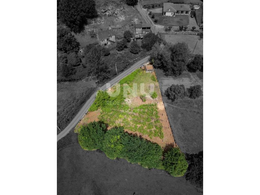 Terreno Plano com Viabilidade de Construção em Távora (São Vicente) - Grande imagem: 4/9