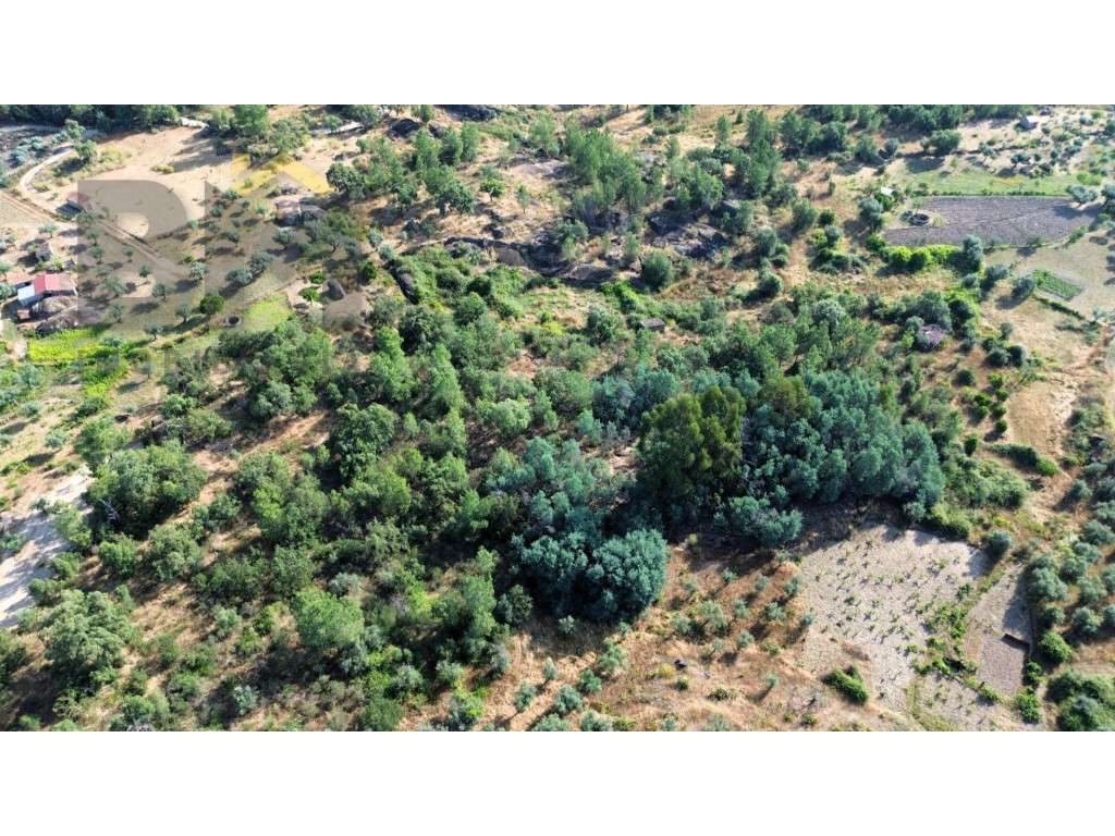 Terreno rustico com 9.320m2 para venda próximo ao Salgueiro do Campo! - Grande imagem: 4/6