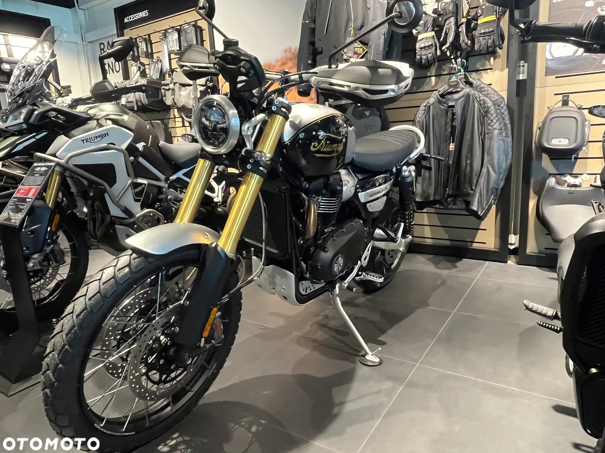 Triumph Scrambler