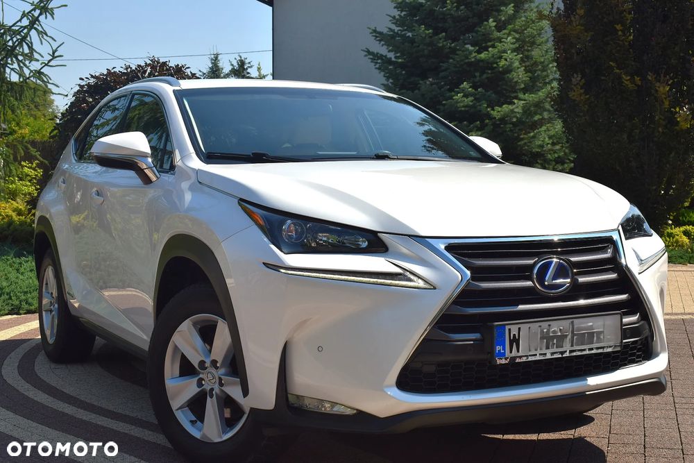Lexus NX 300h Prestige AWD - 13