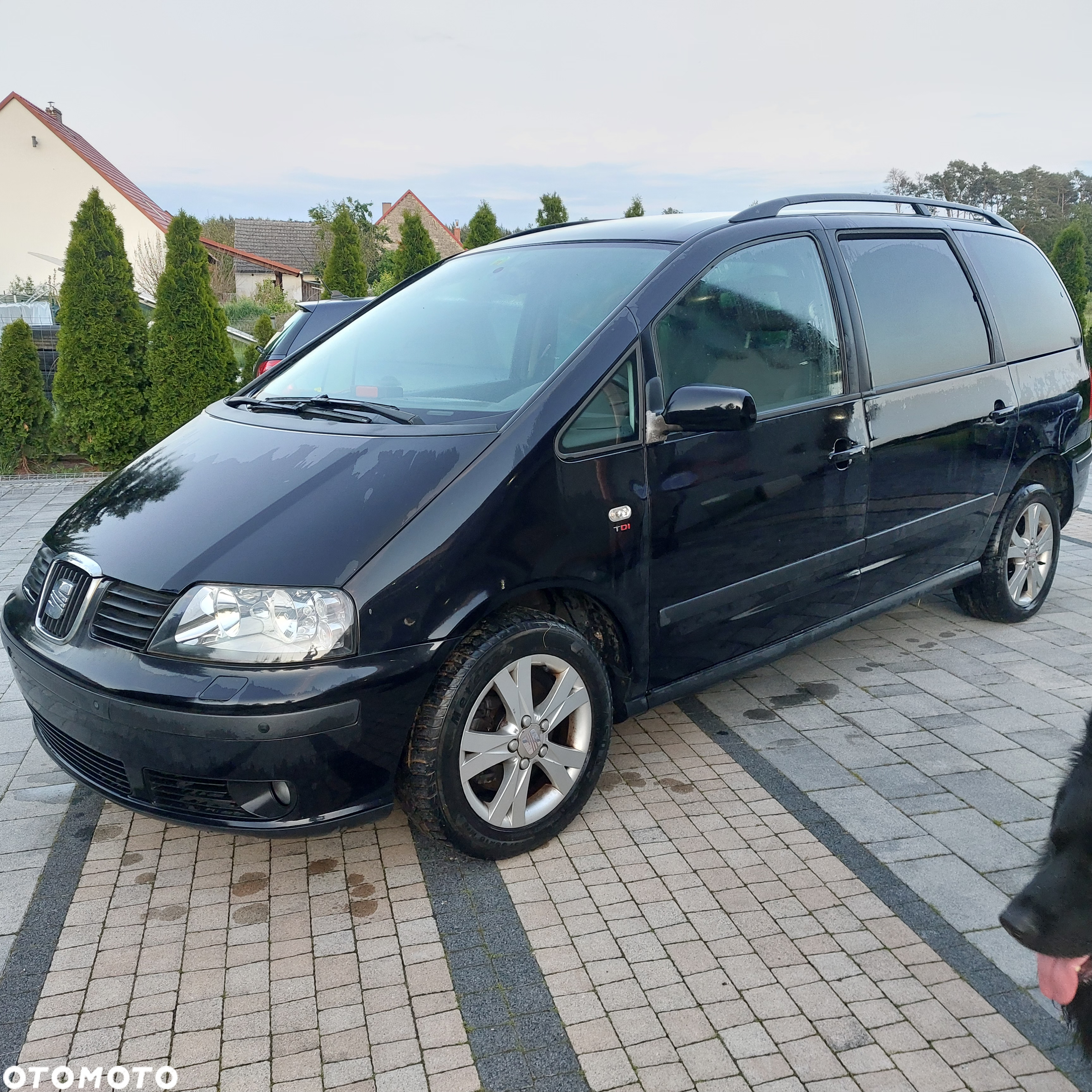 Seat Alhambra 2.0 TDI DPF Reference - 2