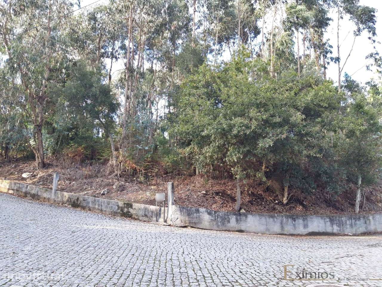 Terreno em Touguinha - Grande imagem: 4/4