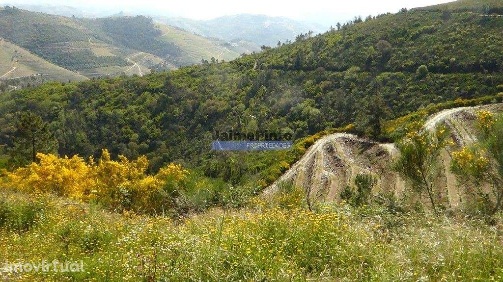 29.000m2 de terreno rústico p/ plantações novas. Portugal, Sabrosa,... - Grande imagem: 2/7