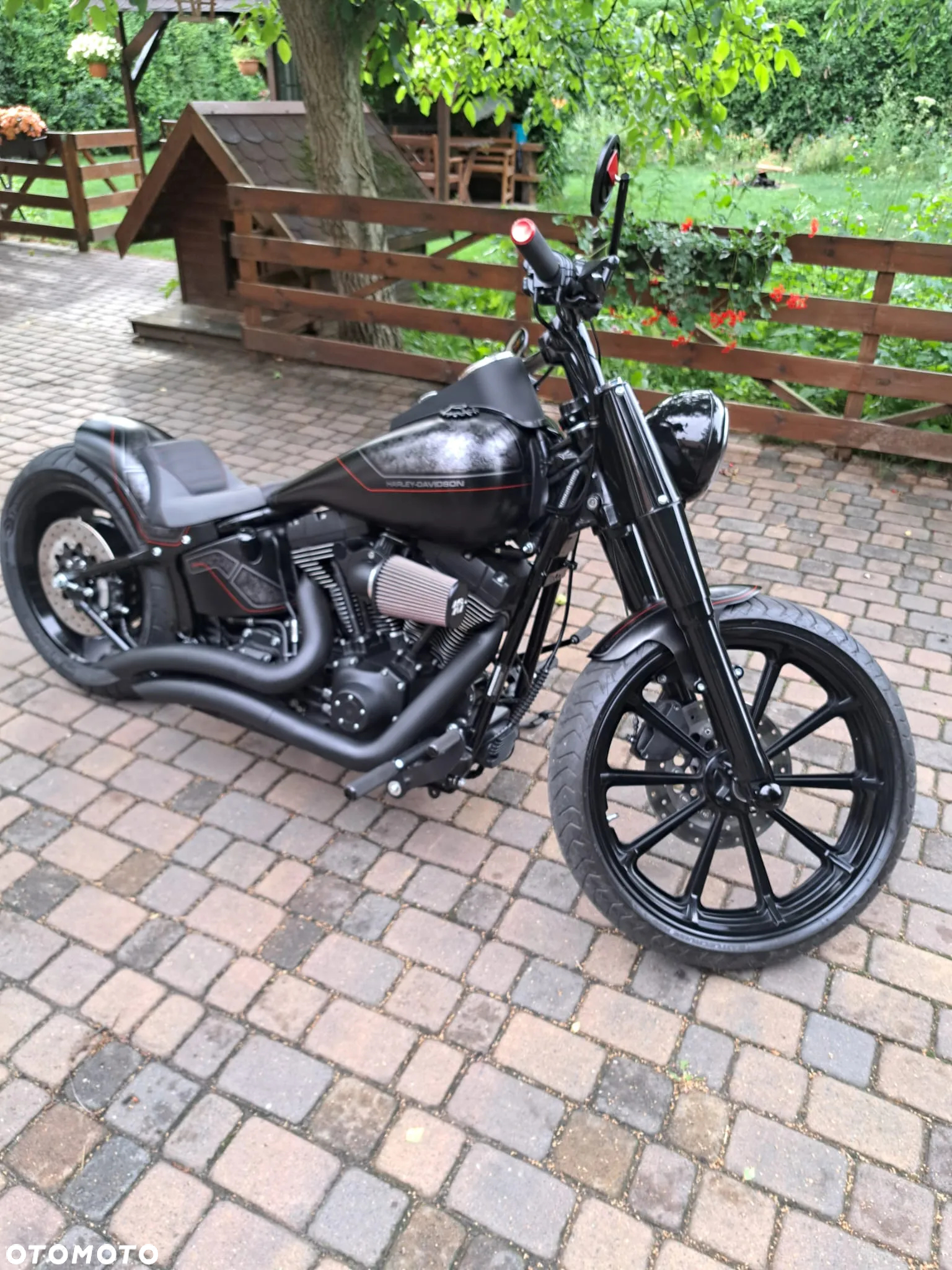 Harley-Davidson Softail Custom - 19
