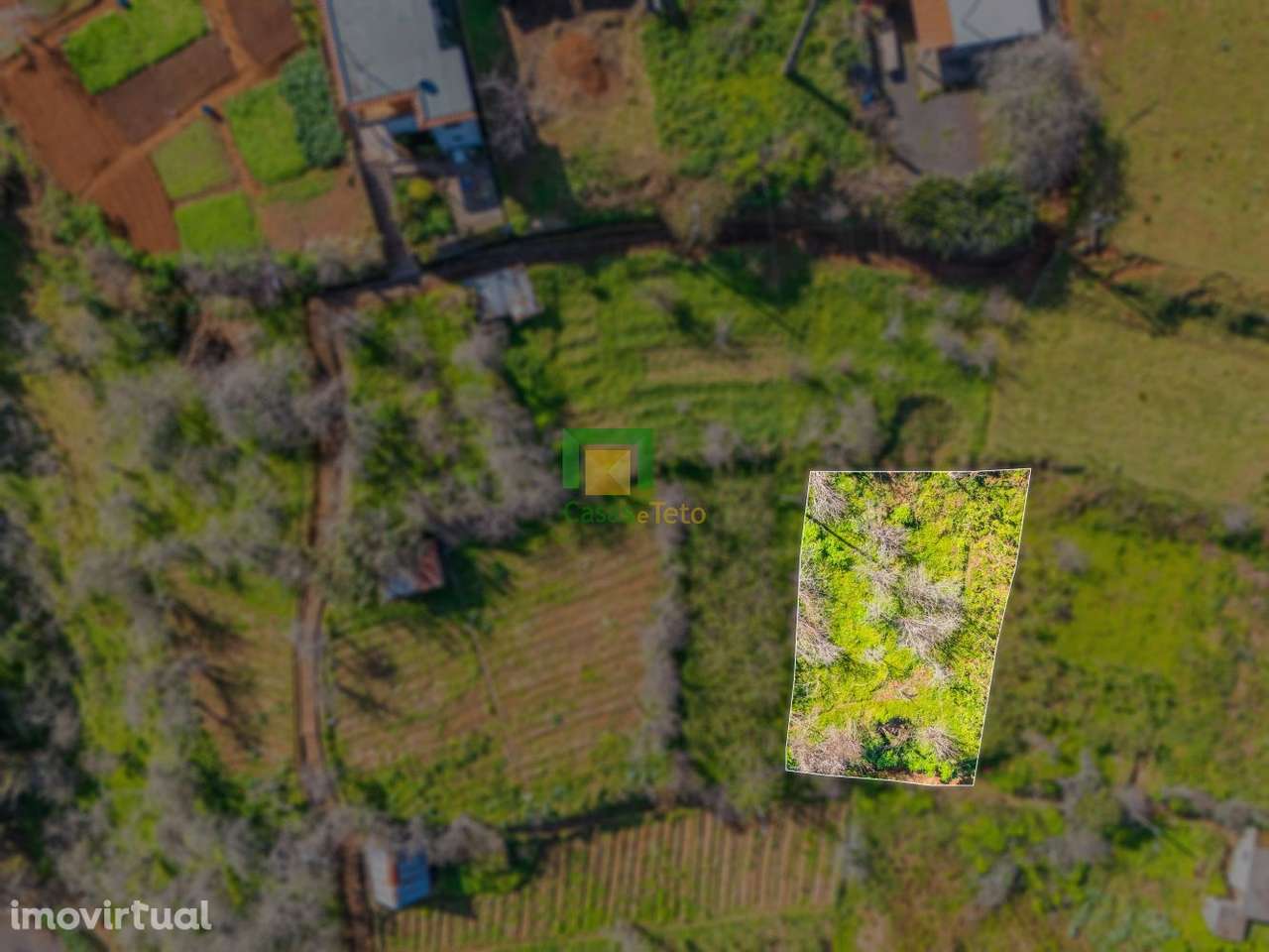 Terreno - São Roque  do Faial - Grande imagem: 5/13