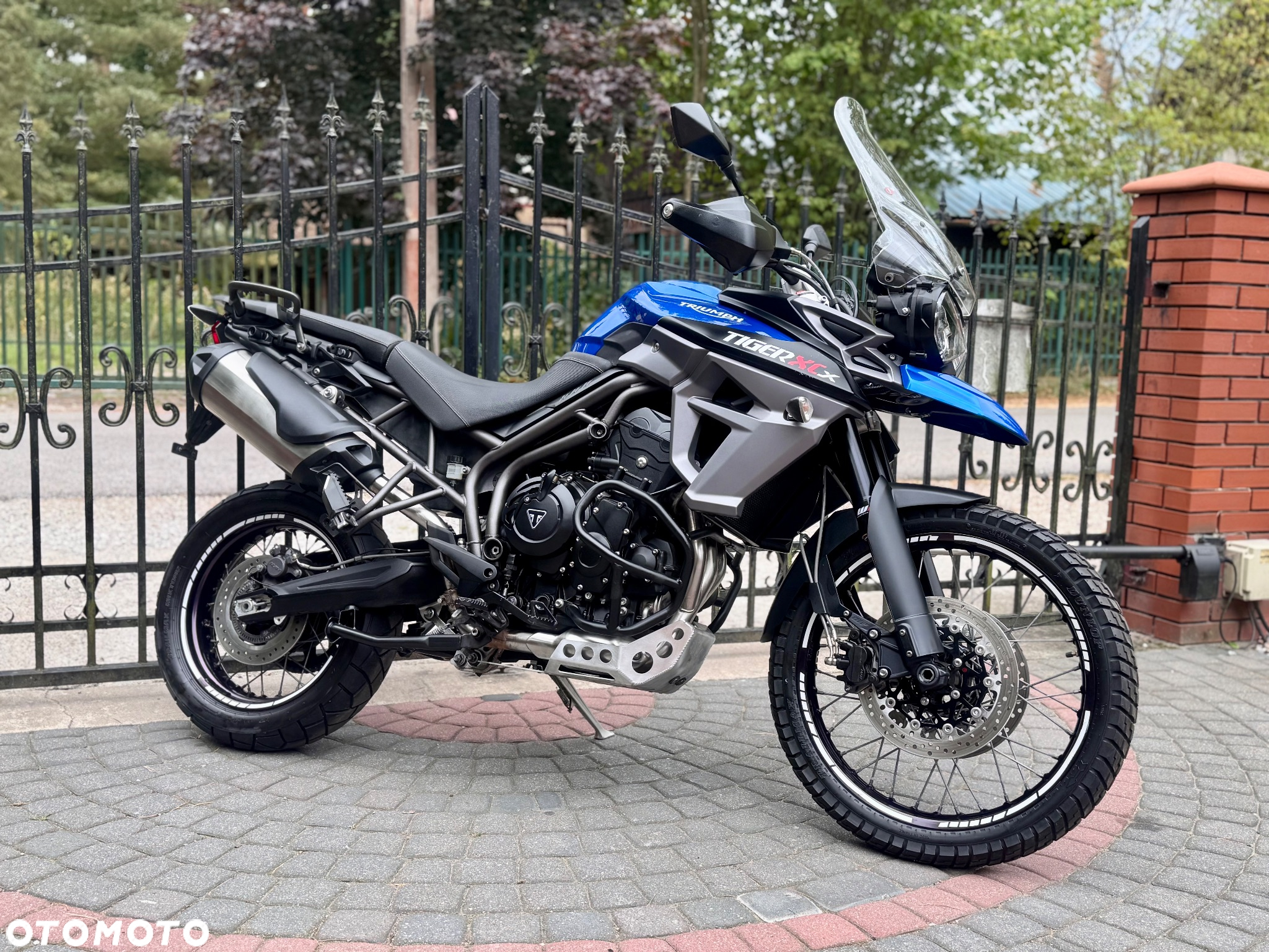 Triumph Tiger - 2