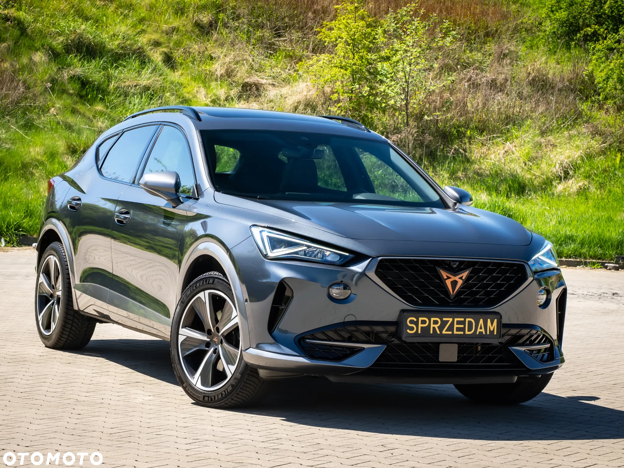 Cupra Formentor 1.5 TSI DSG - 2