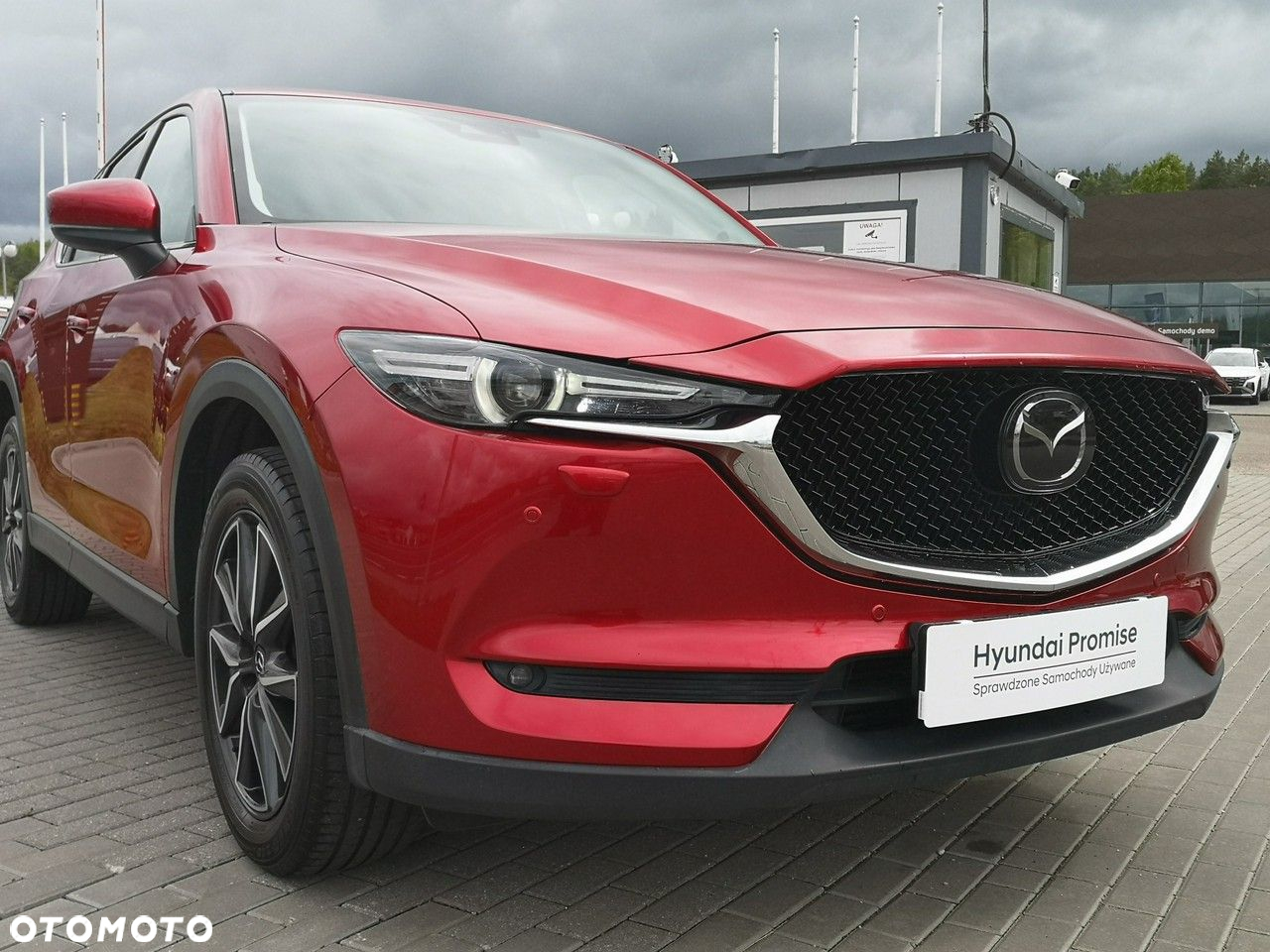 Mazda CX-5 2.2 D Skypassion AWD - 5