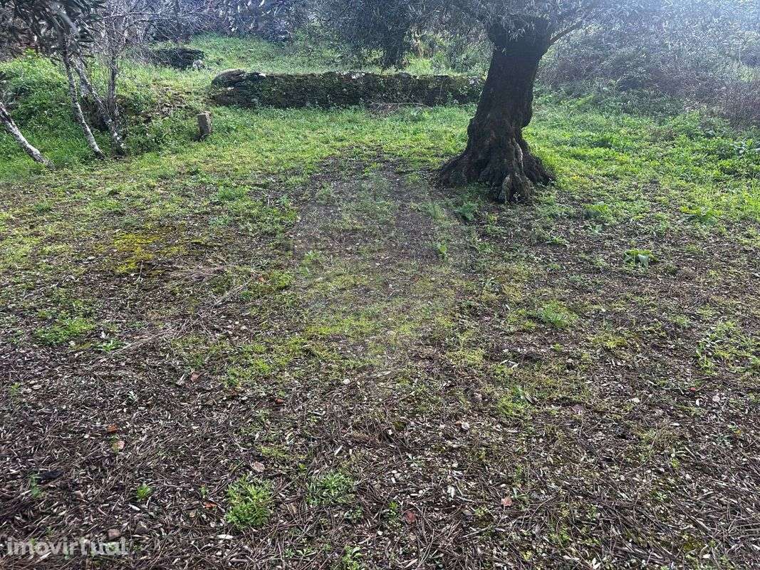 Terreno  para venda - Grande imagem: 4/15