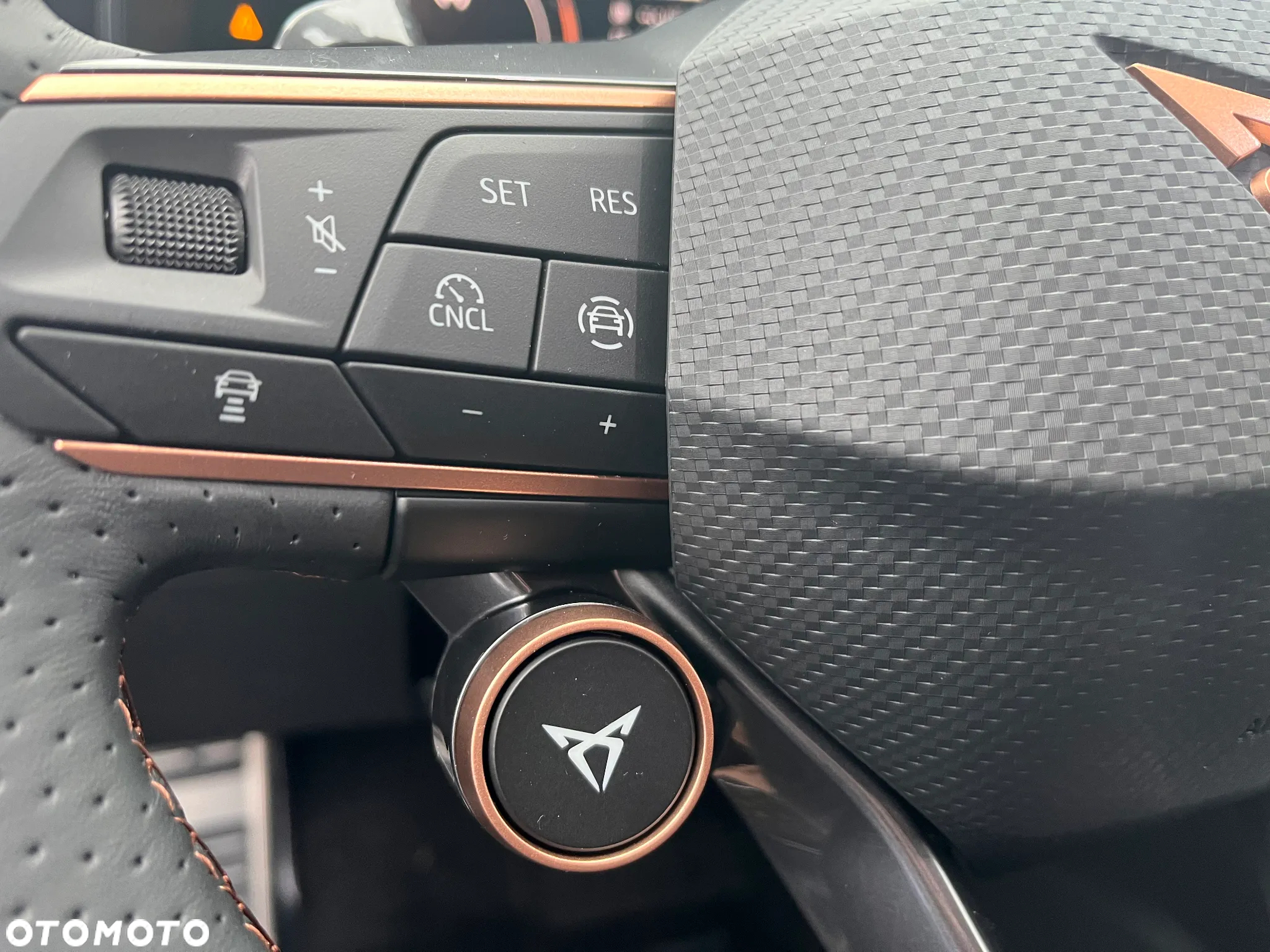 Cupra Formentor 1.5 TSI DSG - 14