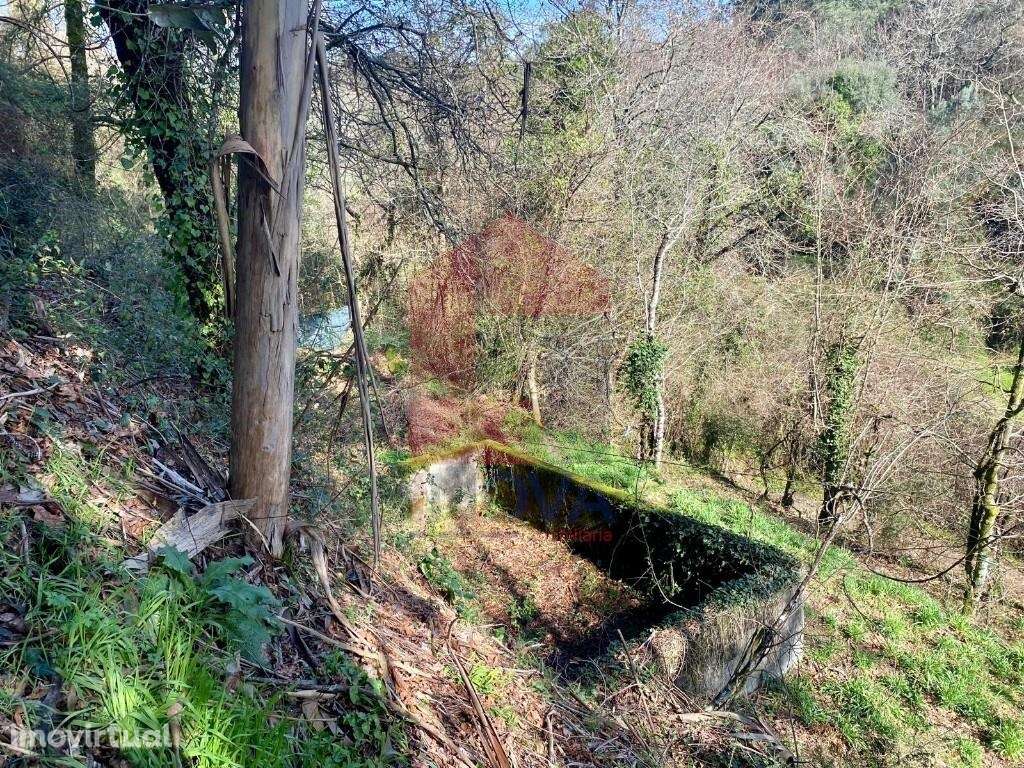 Terreno Agrícola / Florestal, Pico - Grande imagem: 3/29