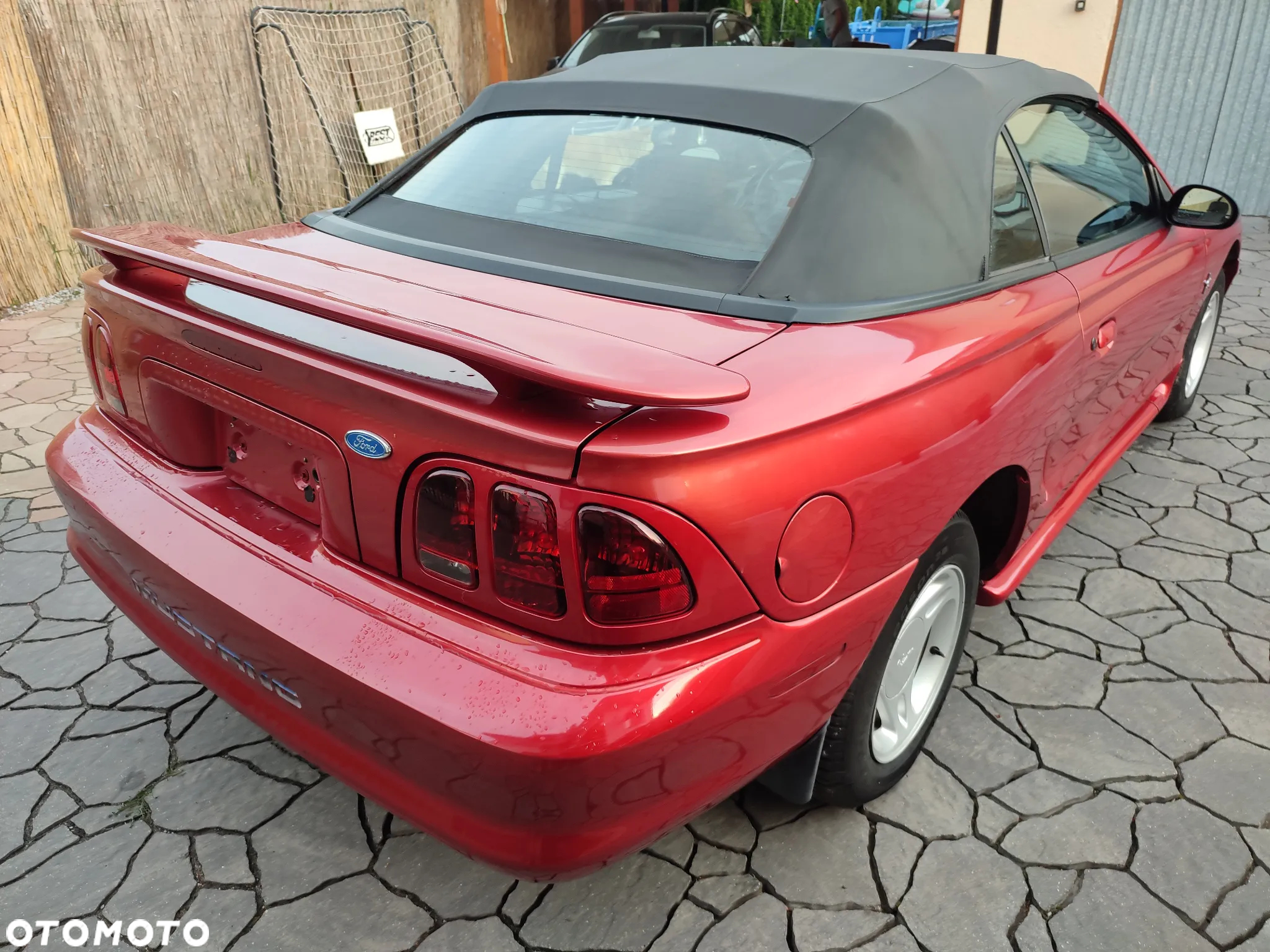 Ford Mustang - 8