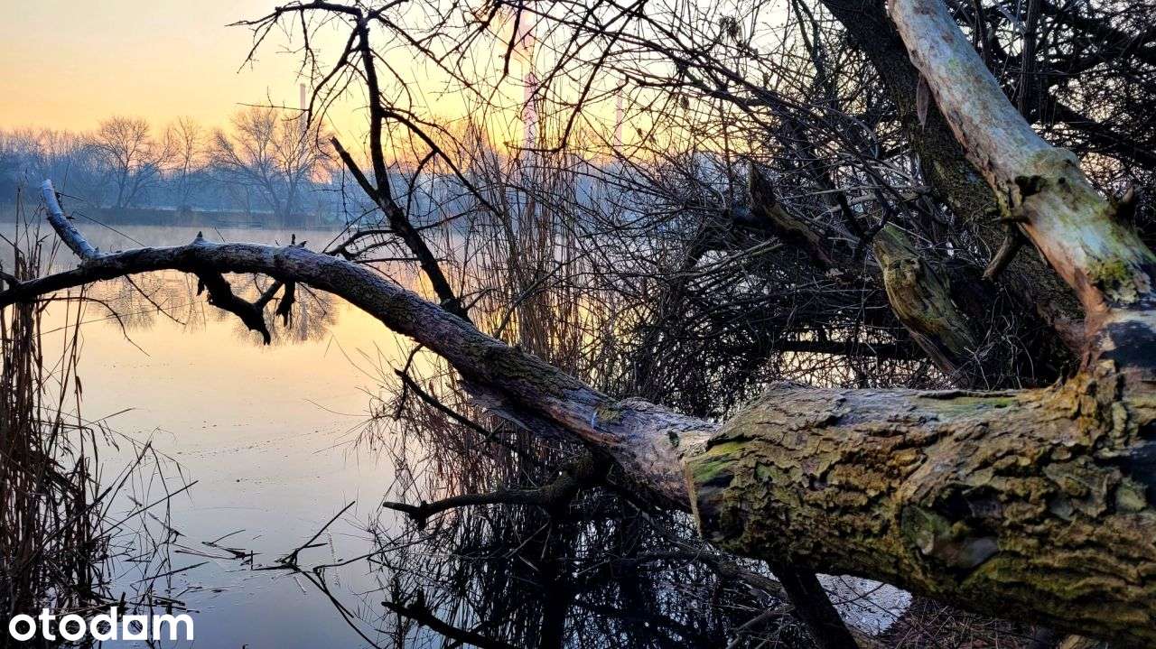 Bemowo Lux garaż Balkon Klima ostatnie 5/5