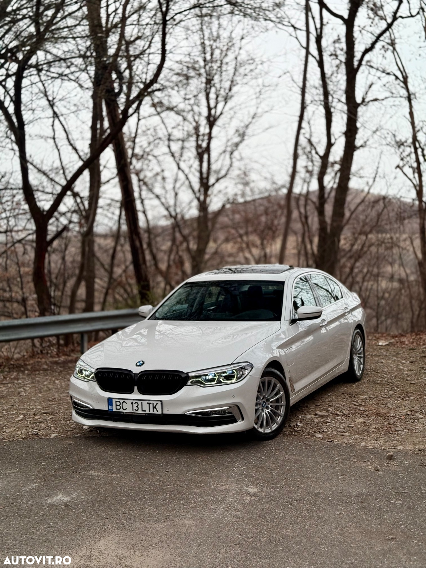 BMW Seria 5 530e Aut. Luxury Line - 8
