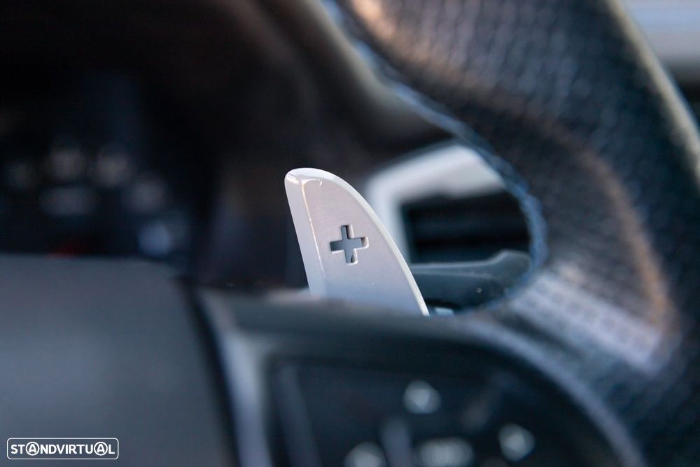 Ford Ranger 2,0 l TDCi Panther Auto Raptor - 30