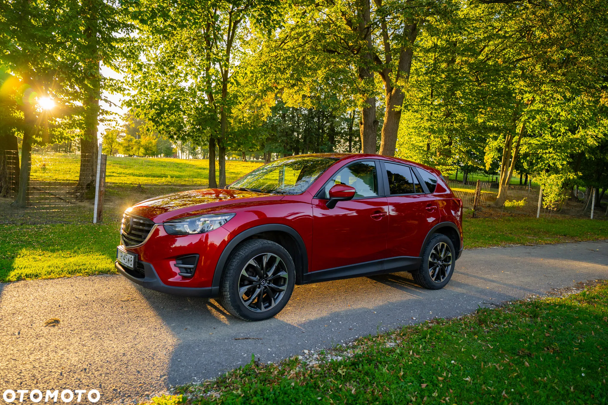 Mazda CX-5 2.2 D Skypassion - 23
