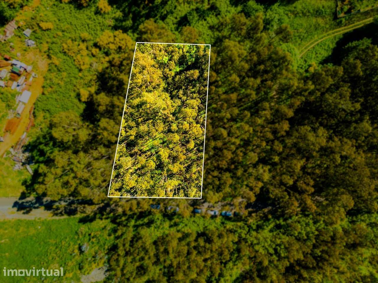 Terreno com 1510m2 - Camacha - Grande imagem: 2/14