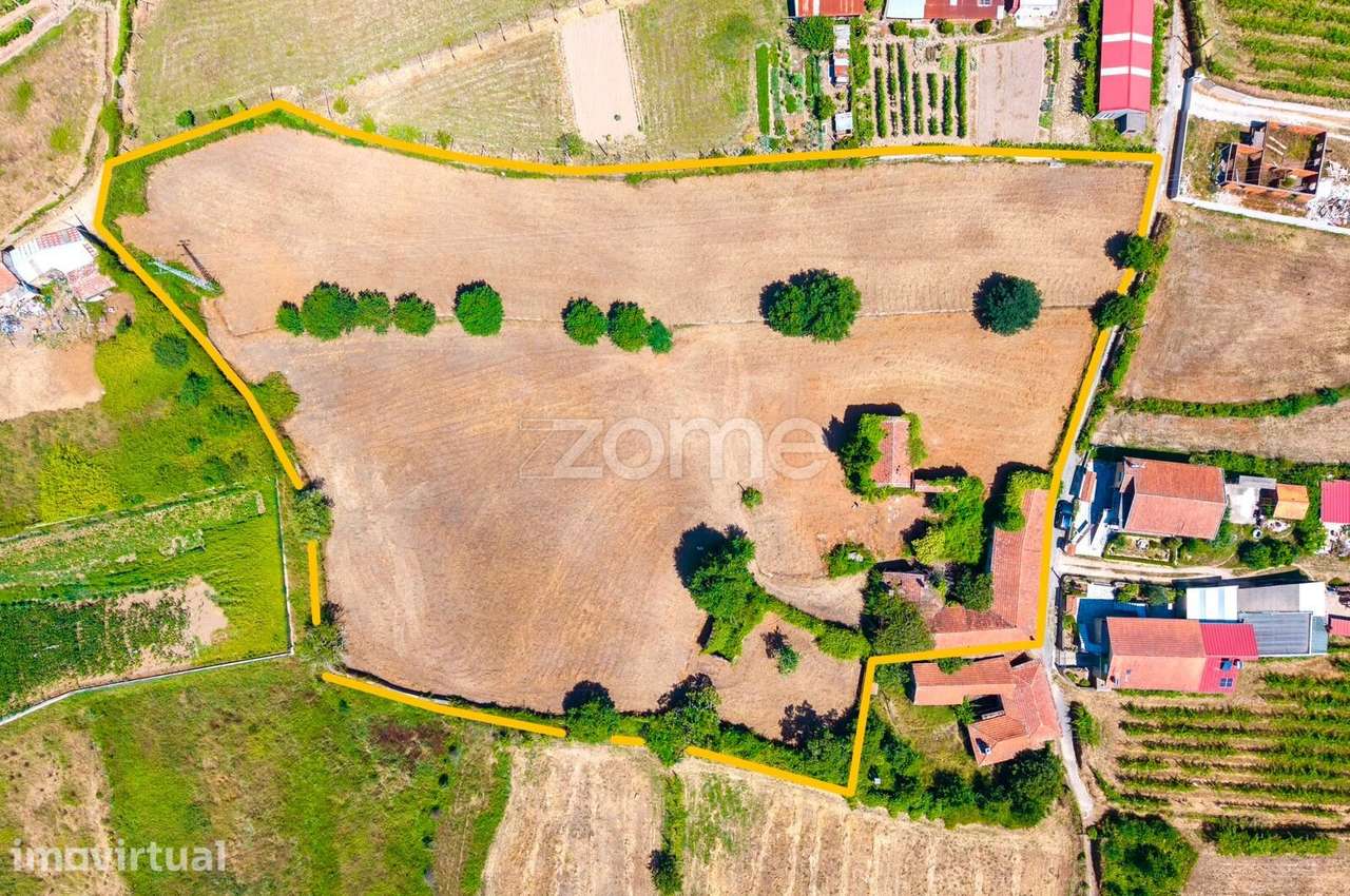 Quinta para Investimento | junto ao Rio Caima | Ossela OAZ - Grande imagem: 2/19