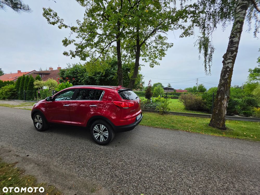 Kia Sportage - 30
