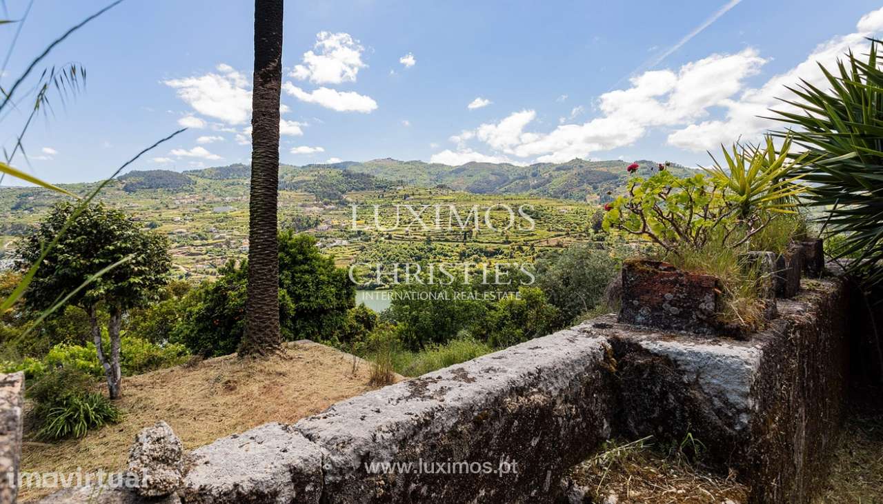 Quinta da Coelheira para venda em Baião, Douro Valley - Grande imagem: 4/25