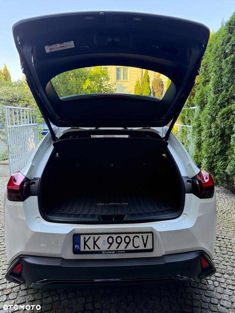Lexus UX 250h GPF F Sport Edition AWD - 24