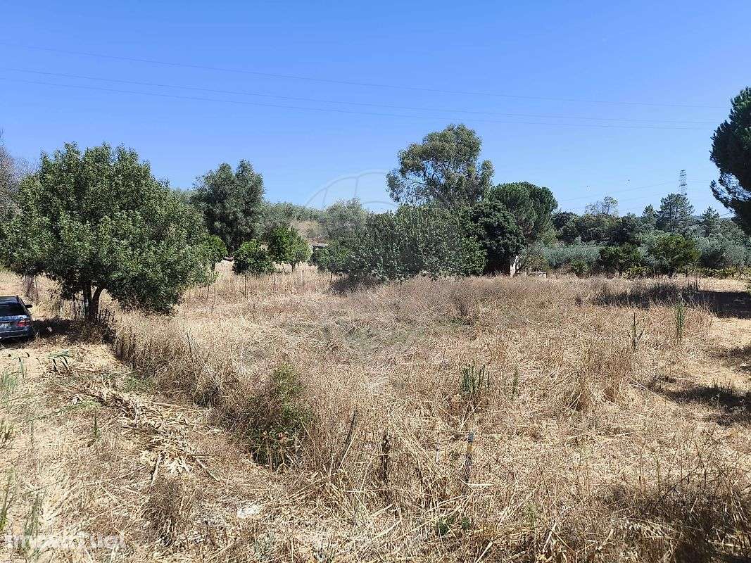 Terreno  para venda - Grande imagem: 2/16