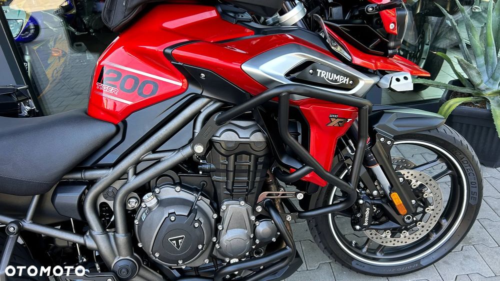 Triumph Tiger - 13
