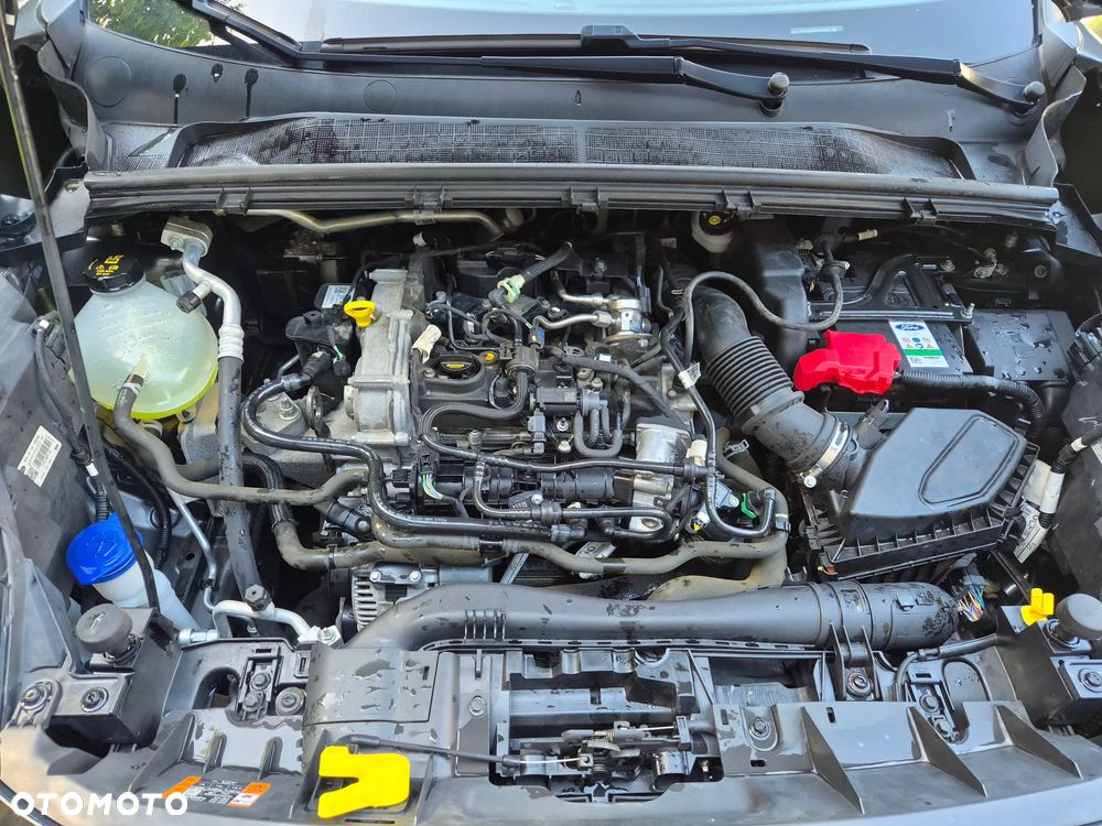 Ford Puma - 25