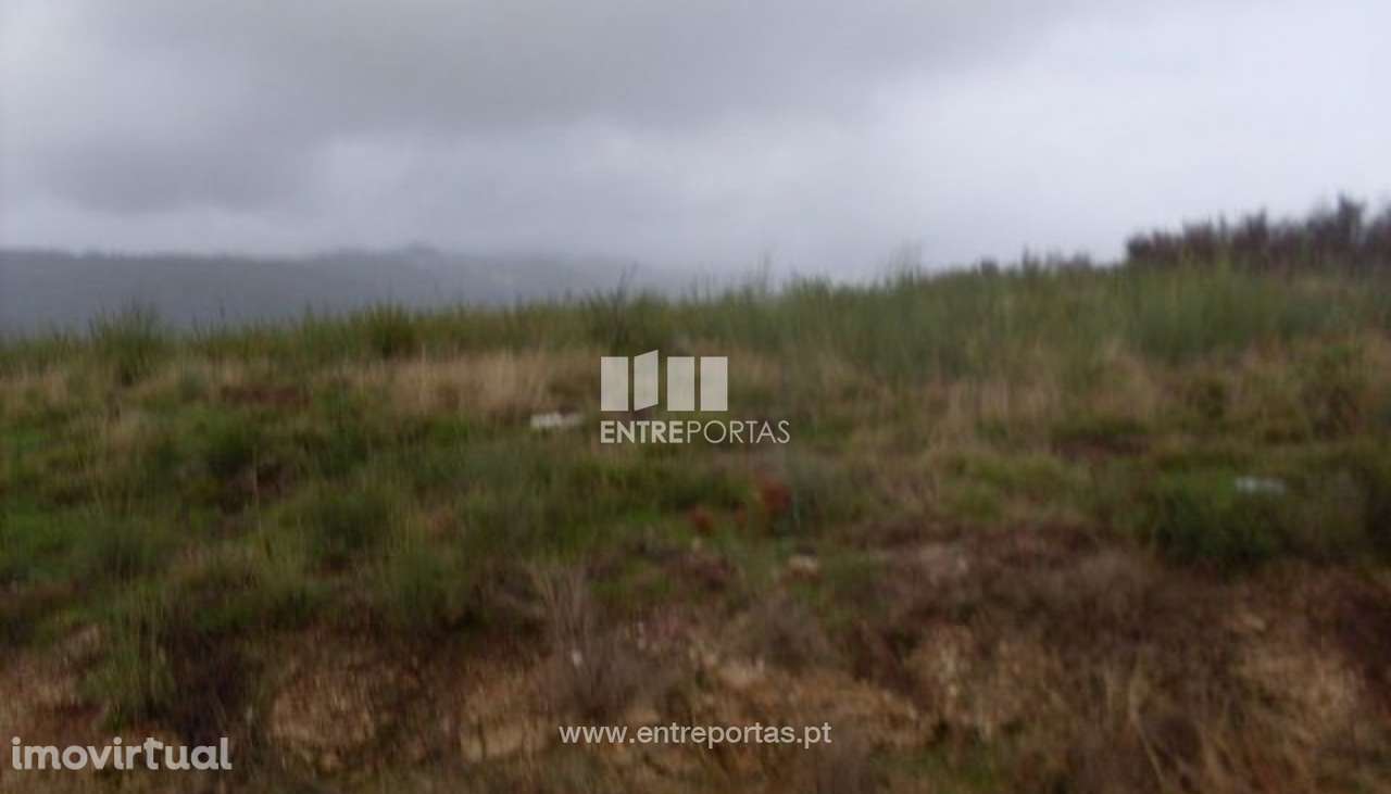 Venda Lote, Grilo, Baião - Grande imagem: 4/29