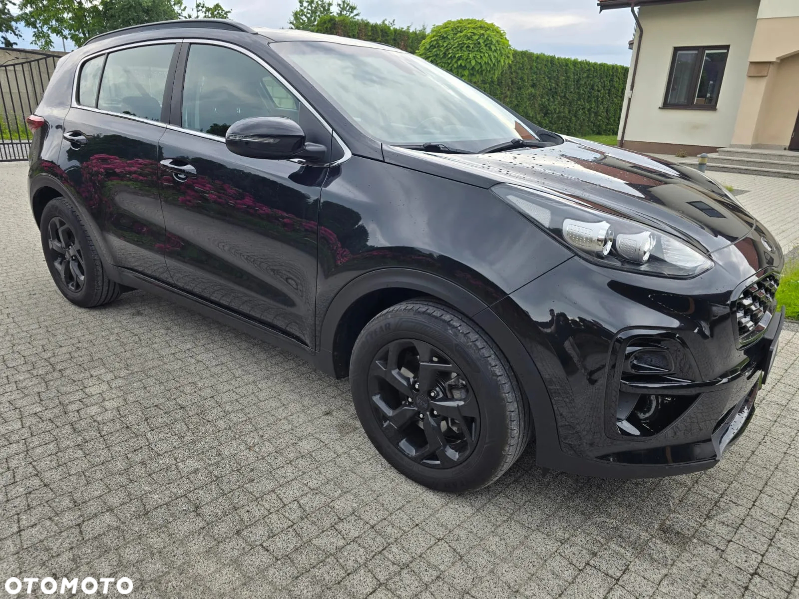 Kia Sportage - 29