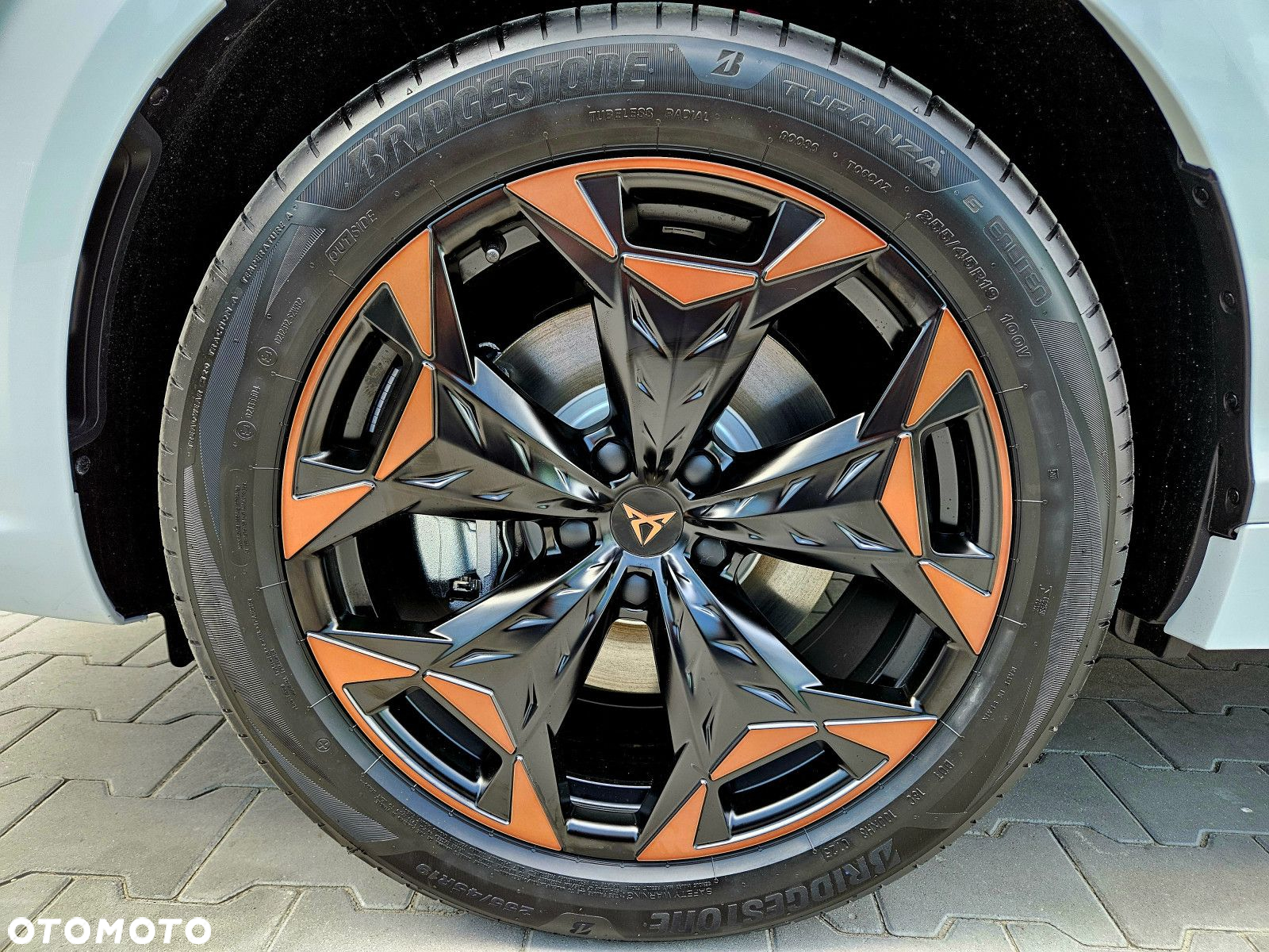 Cupra Terramar - 6